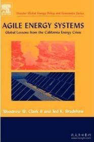 Agile Energy Systems: Global Lessons from the California Energy Crisis