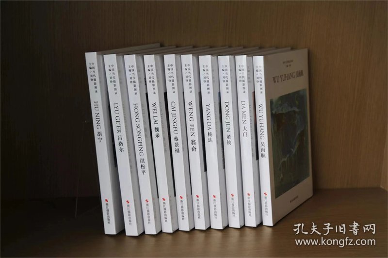 中国当代摄影图录丛书第九辑全套10本