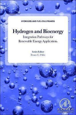Hydrogen, Biomass and Bioenergy: Integration Pathways for Renewable Energy Applications