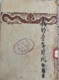 我们的青年时代