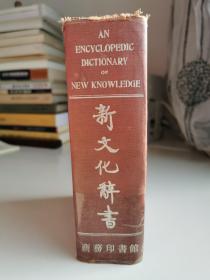 新文化辞书
