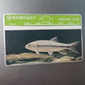 台湾电话卡（旧光学卡）D4019 淡水鱼（马口鱼）100