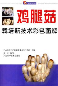 食用菌栽培丛书:鸡腿菇栽培新技术彩色图解 林霞　编写 广西科学