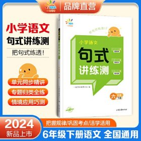 小学语文句式讲练测 6年级 下册