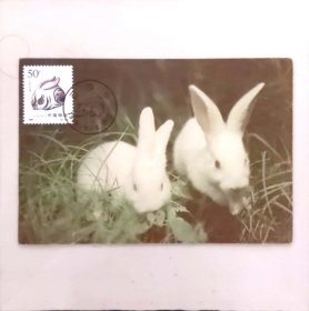 生肖1999兔自制极限片实寄