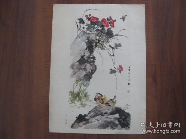 王雪涛画集活页一〇“芙蓉 鸳鸯”