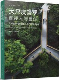 大尺度景观-连接人与自然 9787112285457 魏伟 李妍汀 中国建筑工业出版社 蓝图建筑书店