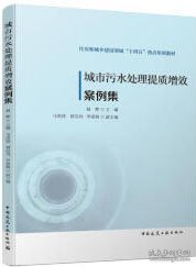 住房和城乡建设领域“十四五”热点培训教材 城市污水处理提质增效案例集 9787112294350 赵晔 马洪涛 胡应均 李家驹 中国建筑工业出版社 蓝图建筑书店