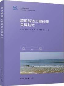 跨海隧道工程修建关键技术