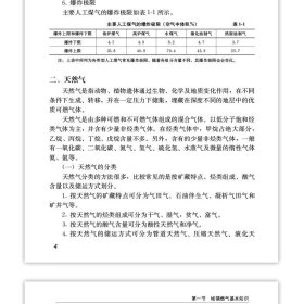 燃气行业管理实务系列丛书 城镇燃气设施巡查与保护实务手册 9787112293797 唐立君 陈济敏 中国建筑工业出版社 蓝图建筑书店