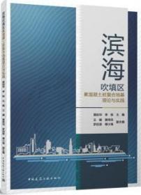 滨海吹填区素混凝土桩复合地基理论与实践