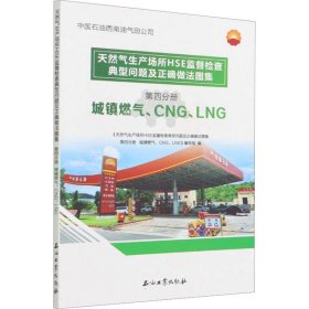 天然气生产场所HSE监督检查典型问题及正确做法图集    第四分册   城镇燃气、CNG、LNG