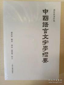 中国语言文字学纲要