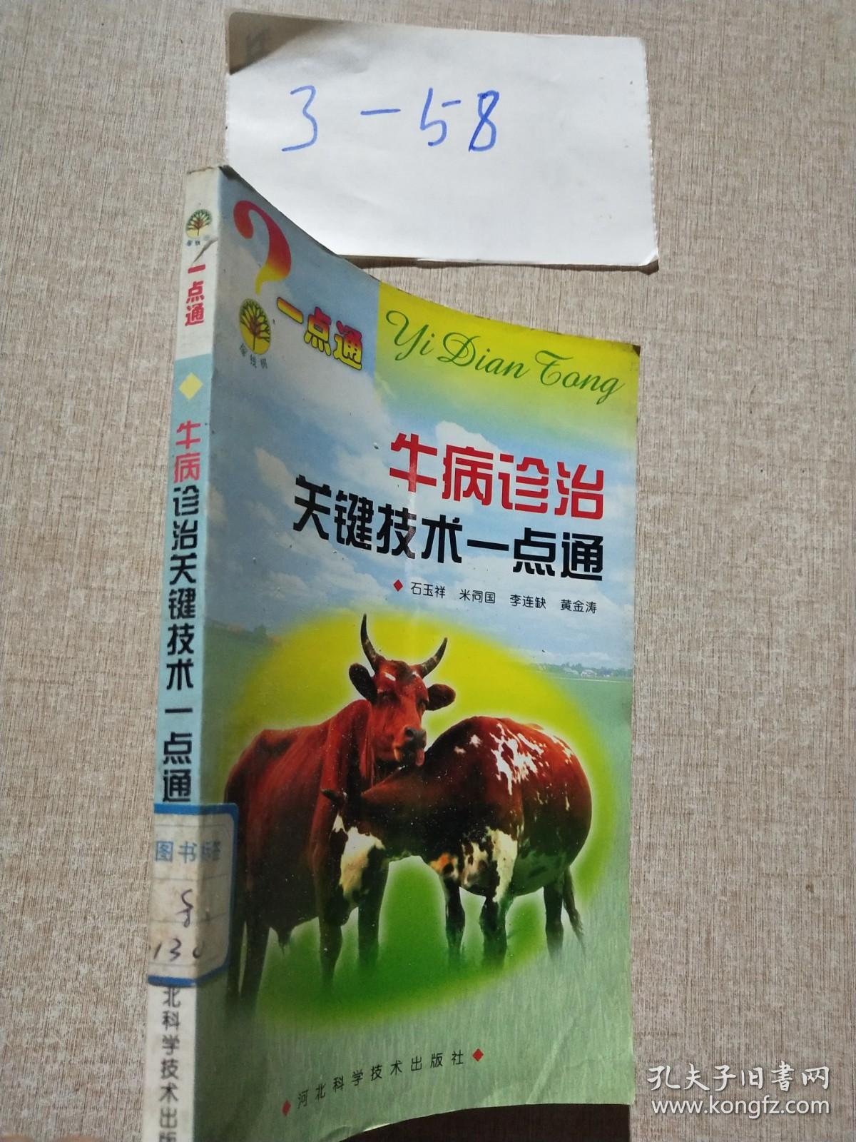 牛病诊治关键技术一点通