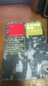世联地产顾问丛书：公共住房浪潮：国际模式与中国安居工程的对比研究