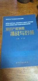 知识产权制度挑战与对策 2004年一版一印