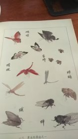 写意花鸟画法，杨建侯著；上海人民美术出版社；1982年1版1983年2印