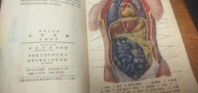 心肝肚臟（科学小文库）1953年一版一印