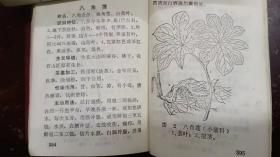 《中草药土方土法》第一集、软精装.