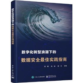 正版书籍 数字化转型浪潮下的数据安全实践指南