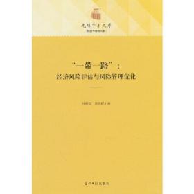 “一带一路”：经济风险评估与风险管理优化