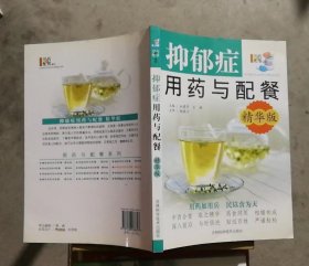 抑郁症用药与配餐（精华版）(书口书底有书斑,内页偶有书斑)