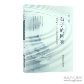 石子的回响 教学方法及理论 丁晓萍 9787313321732上海交通大学出版社