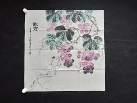 J9-27著名书画家.绍君款.有款无印章.原创手绘花鸟画 .秋实.画心尺寸：71*69厘米