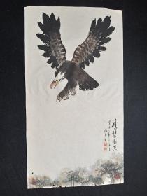J27-40【邓义伦】中国老年书画研究会会员，中国书法研究院艺术委员，四川省书法家协会会员，四川省美协会员，四川省省直机关老年书画协会会员，成都市老协诗书画研究会理事，四川省中山文化艺术研究会国画研究会创作室画师，成都市民健老龄委诗书画顾问2003年花鸟画【彩墨花鸟鹰击长空】 软件一幅，画心尺寸：101*55厘米