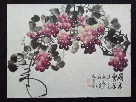 邓义伦：永久保真.花鸟画软件 、硕果累累、画心尺寸：44*34厘米 J53-14