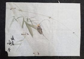 简阳百岁著名画家   方之怡    旧花鸟画软片 竹与天牛  画心尺寸：47*33厘米