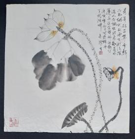 （保真）吴泽全：吴梅花，四川省美术协会理事，中国将军书画研究院西南分院艺术顾问，四川省现代艺术促进会书画委员会执行主席，美国国际文化科学院院士和驻成都代表处文化艺术部副部长，四川省人民对外交流文化局礼品创作特别指定书画家2010年精品花鸟画软件、荷花 ，画心尺寸70*68厘米