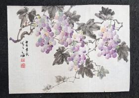 简阳画家 方之怡  77年作 纯手绘 原创原稿  老旧花鸟画软片 葡萄  画心尺寸：52*38厘米