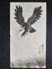 J26-38保真书画【邓义伦】中国老年书画研究会会员，中国书法研究院艺术委员，四川省书法家协会会员，四川省美协会员，四川省省直机关老年书画协会会员，成都市老协诗书画研究会理事，四川省中山文化艺术研究会国画研究会创作室画师，成都市民健老龄委诗书画顾问2003年花鸟画【彩墨花鸟鹰击长空】 软件一幅，画心尺寸：101*55厘米