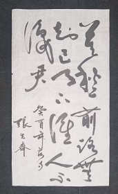 张先齐：四川省文史馆馆员，成都蓉台书画社社长、东方书画社法人代表、理事长，新加坡共和国神州艺术院高级顾问、院士，当代国际华裔书画家海外联谊会顾问，河南中国当代书画艺术研究会副会长，河南东方艺术研究院终身名誉院长，山东济宁市中华民族文化艺术画廊高级书画师，曹州青年书画院名誉院长 .原创原作原稿、旧书法软片，画心尺寸：95*53厘米