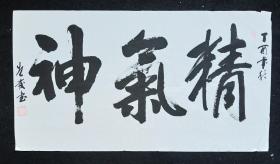 J88-19范先发：中国书法协会会员，国家一级书法家，著名的艺术家。师承“中国十大奇人”之一的汪英俊老师、丁酉2017年书法软件【精气神】、画心尺寸100*54厘米【约4.8平尺】