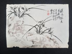 （保真书画）古帆：四川双流已故著名书画家1981年  纯手绘  花鸟画  国画   软件真迹   兰草    临风飘香总有请  画心尺寸约56*39厘米 【品弱，亲看好下单】处理价