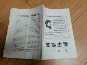支部生活（上海）1968年第34期（划时代的文献）
