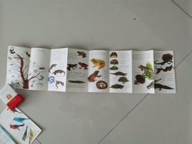 大世界折页丛书 第三辑 植物（上、下）、动物（上、下）、鸟类（下） 5本合售