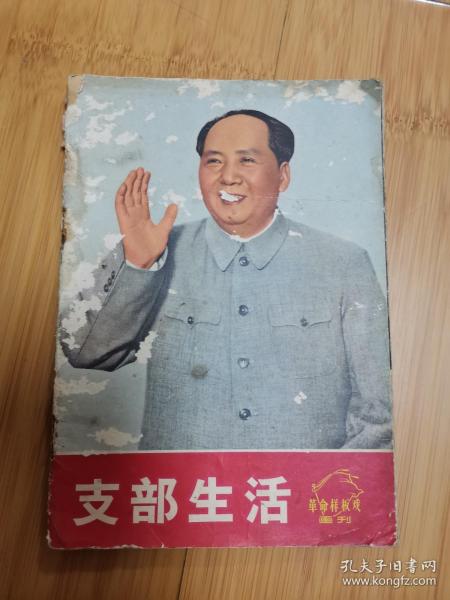 支部生活革命样板戏画刊（品差）