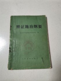 辨证施治纲要