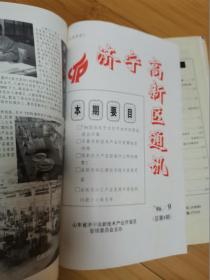 济宁高新区通讯1996.1-12合订本（第1期为创刊号）