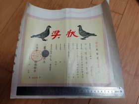 1986年上海市信鸽协会奖状（南昌竞赛）