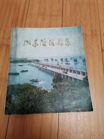 山东治淮影集