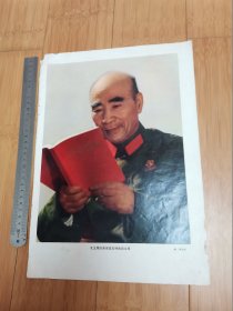 8开宣传画、画报散页：毛主席的亲密战友（峻岭摄影）