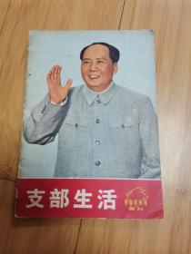 支部生活革命样板戏画刊