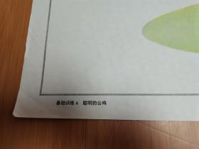 小学语文教学挂图：聪明的公鸡（2开）