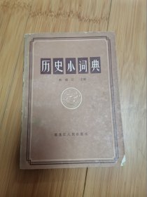 历史小词典