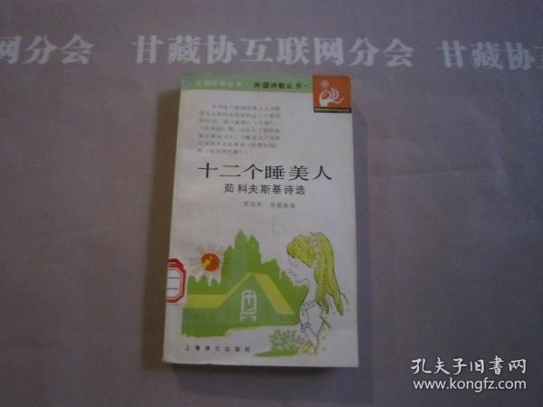 美国抒情诗选 外国诗歌丛书 上海译文出版社 详见目录及摘要