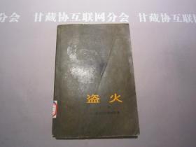 盗火 下册 中国青年出版社 详见目录及摘要